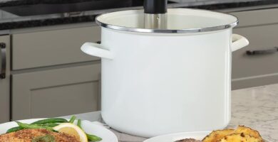 Sous Vide Supreme: Best-Selling Immersion Circulators