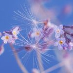 Blooming Bakes: Spring Dessert Recipes & Tools